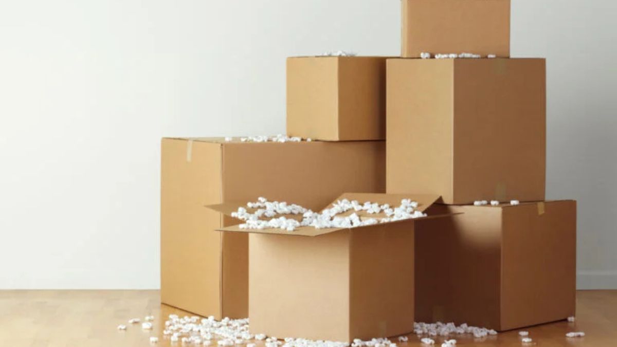 7 Creative Uses for Your Slylar Box You Never Thought Of